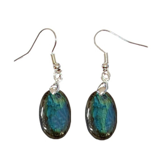 Ovale Labradorit-Ohrringe