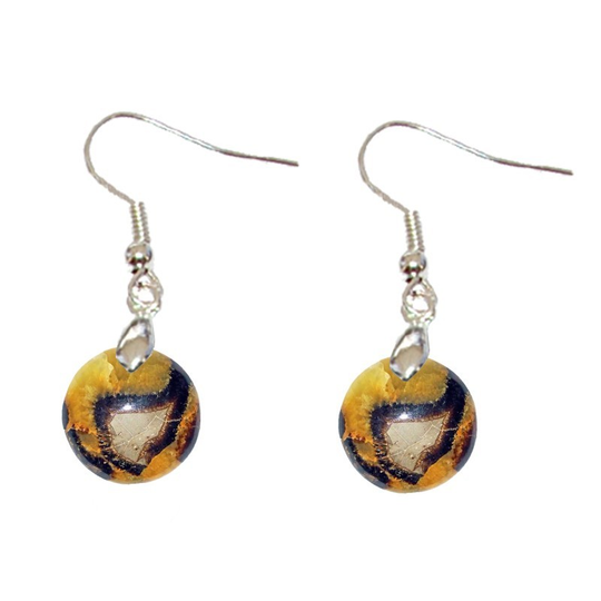 Runde Septaria-Ohrringe